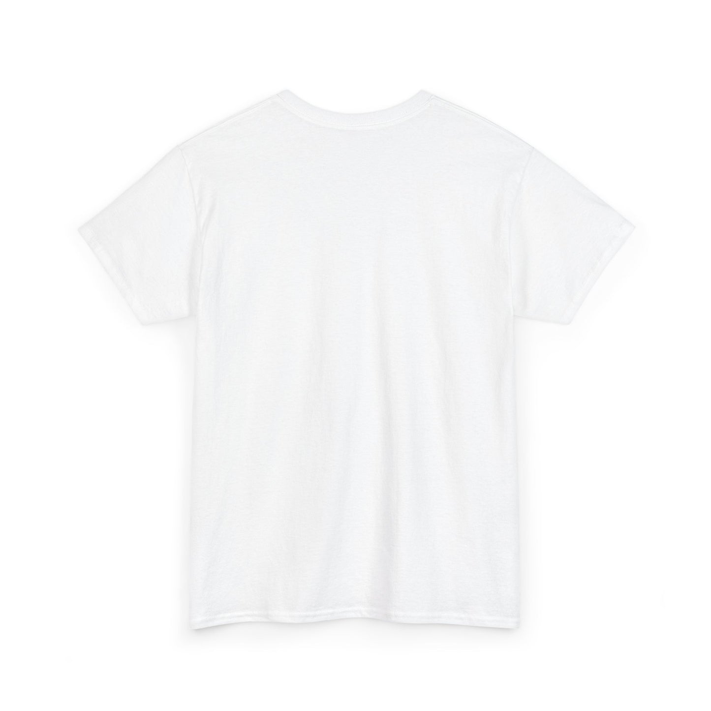 Streetwear Unisex Heavy Cotton T-Shirt, Casual Wear, Street Style Clothing